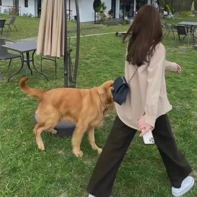 虎啸苍穹