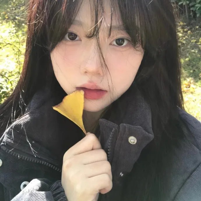 回旋镖